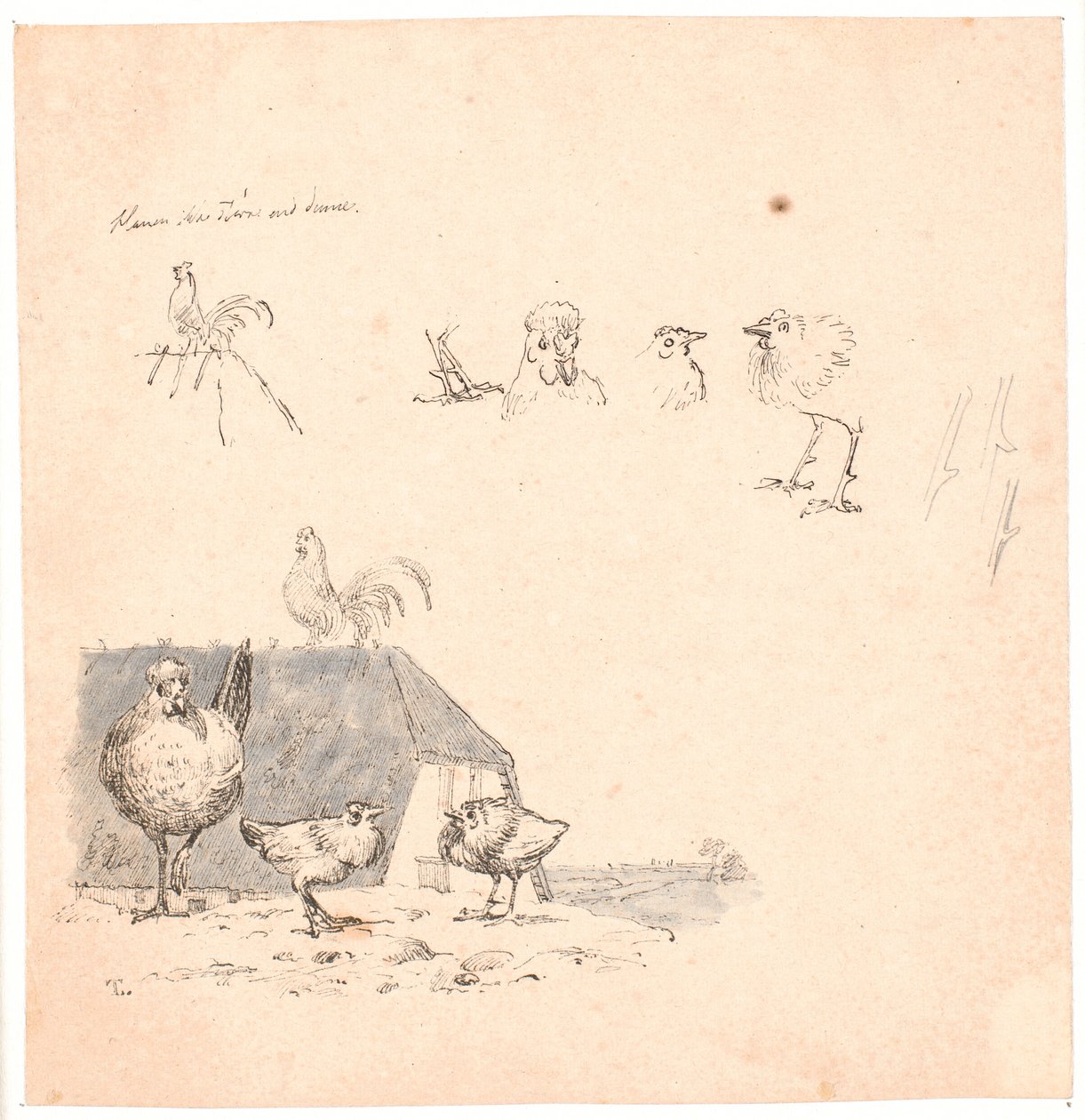 Hanekyllingerne. Illustration til Kaalunds "Fabler for Børn". Se kommentar fra arkkatalog. af Johan Thomas Lundbye
