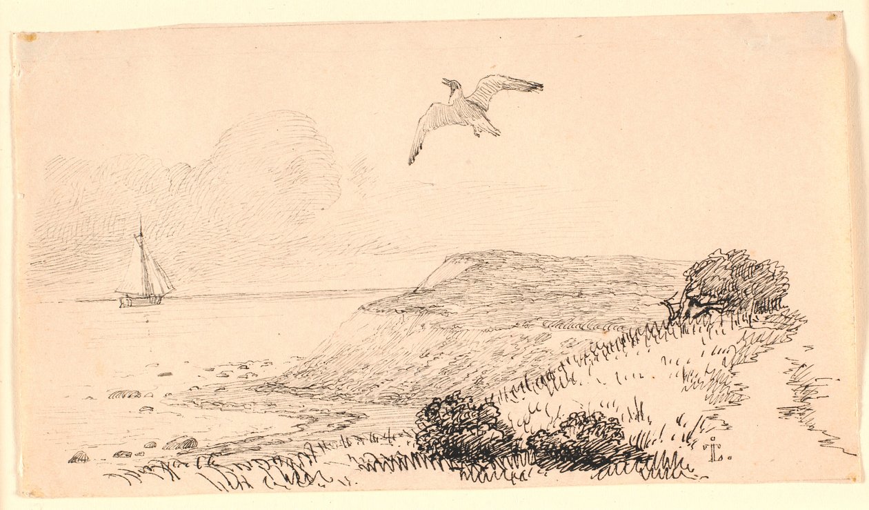 Mågen. Illustration til Kaalunds "Fabler for Børn". Se kommentar fra arkkatalog. af Johan Thomas Lundbye