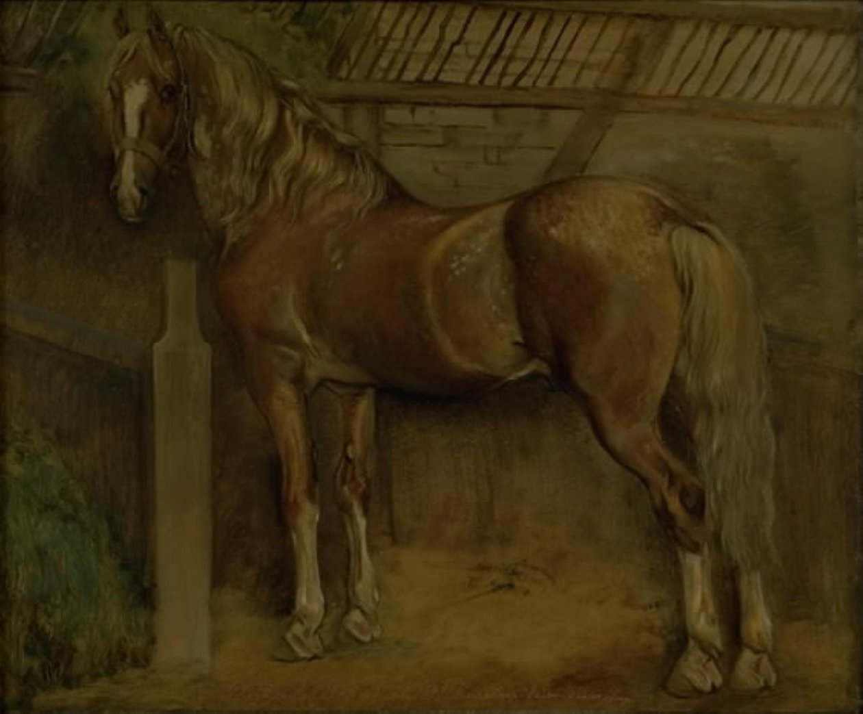 Seksten-årig hingst af Knabstrup-racen af Johan Thomas Lundbye