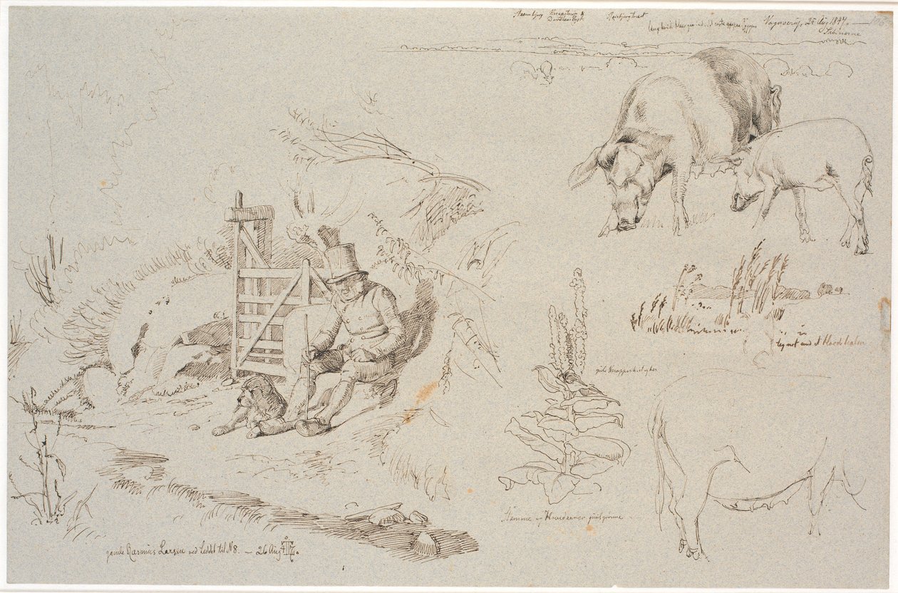 Studieblad fra Vognserup. T. v. en røgter (gamle Rasmus Larsen) siddende med en hund ved et led. F.o.t.h. et landskabsstudie med stedbetegnelser. Herunder to grise. T.h.m.f. studie af siv i en sø. Herunder en kongelysplante og studie af en so af Johan Thomas Lundbye