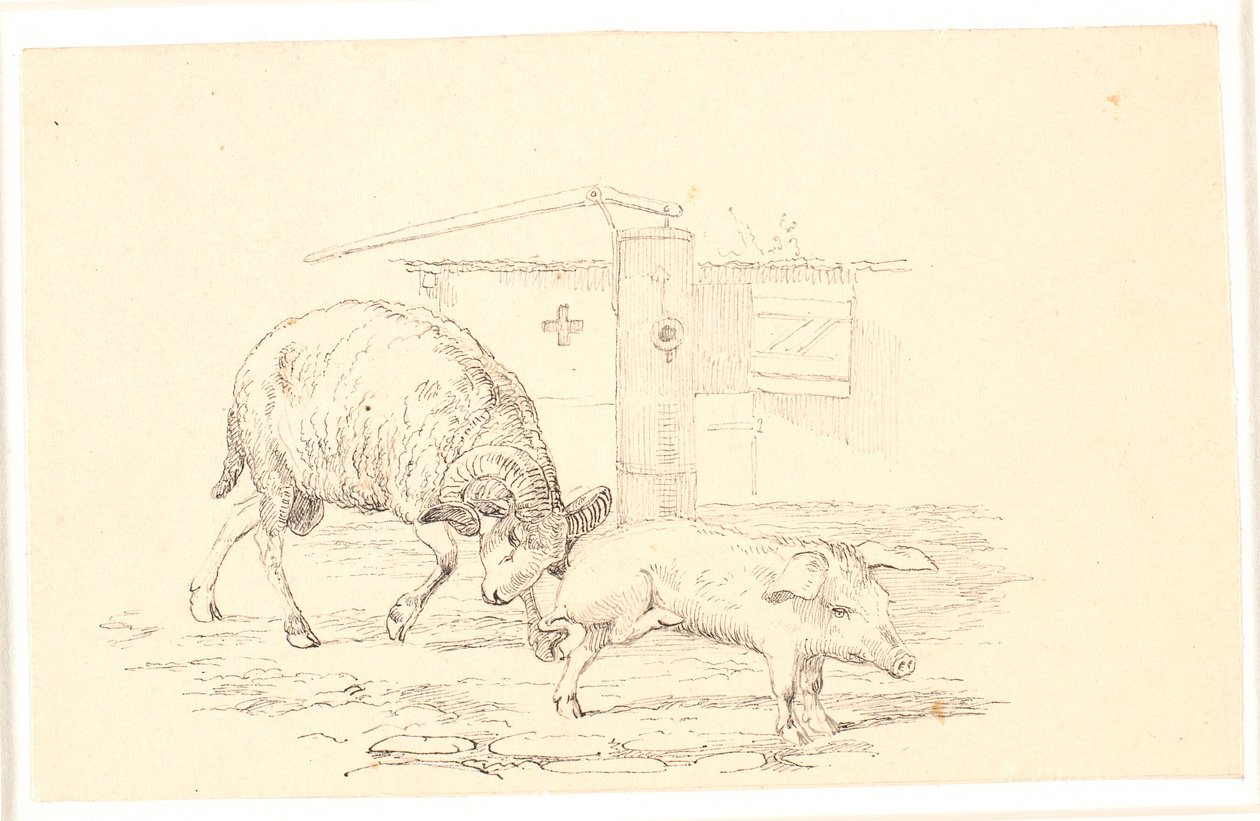 Vædderen og grisen. Illustration til Kaalunds "Fabler for Børn". Se kommentar fra arkkatalog. af Johan Thomas Lundbye