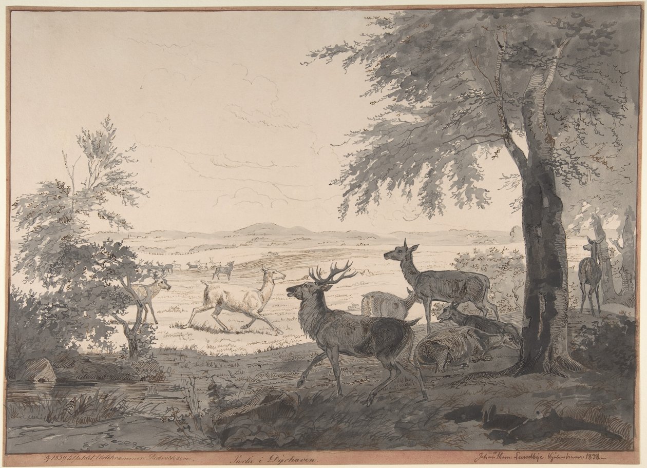 View of Dyrehaven af Johan Thomas Lundbye