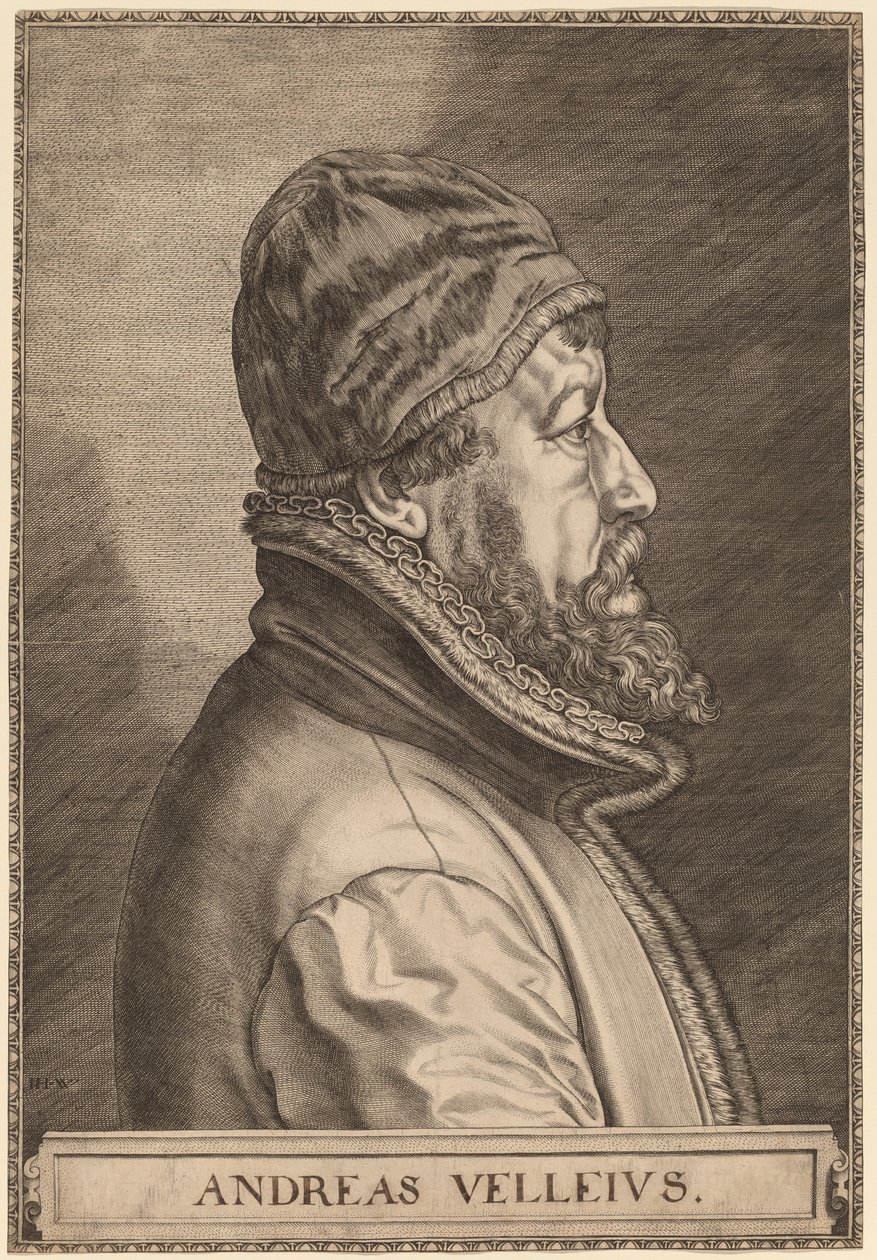 Andreas Velleius (Anders Sørensen Vedel) af Johan Wierix