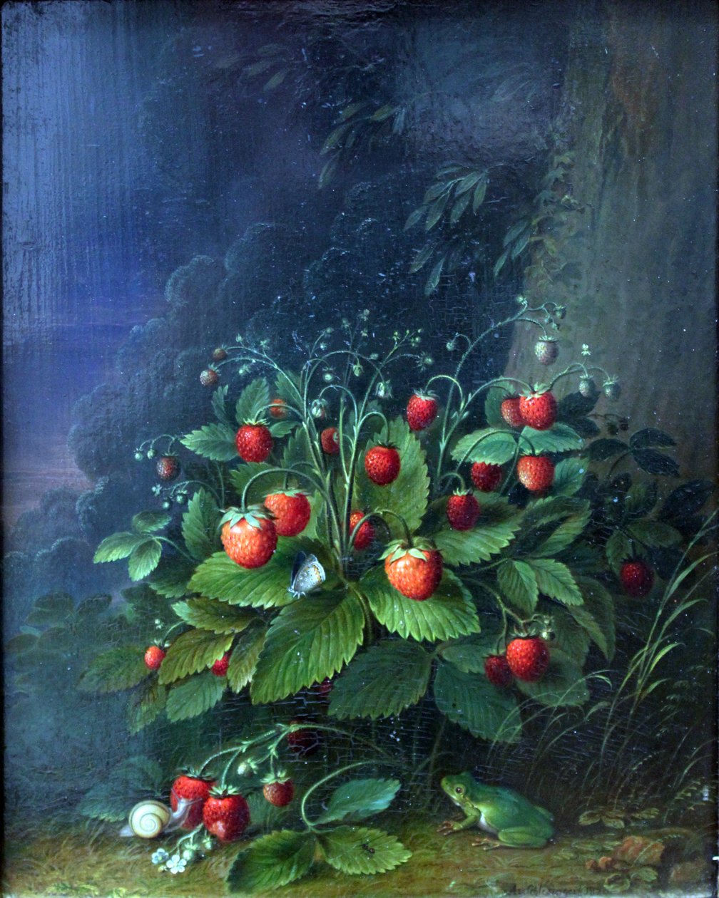 Jordbær af Johann Adam Schlesinger