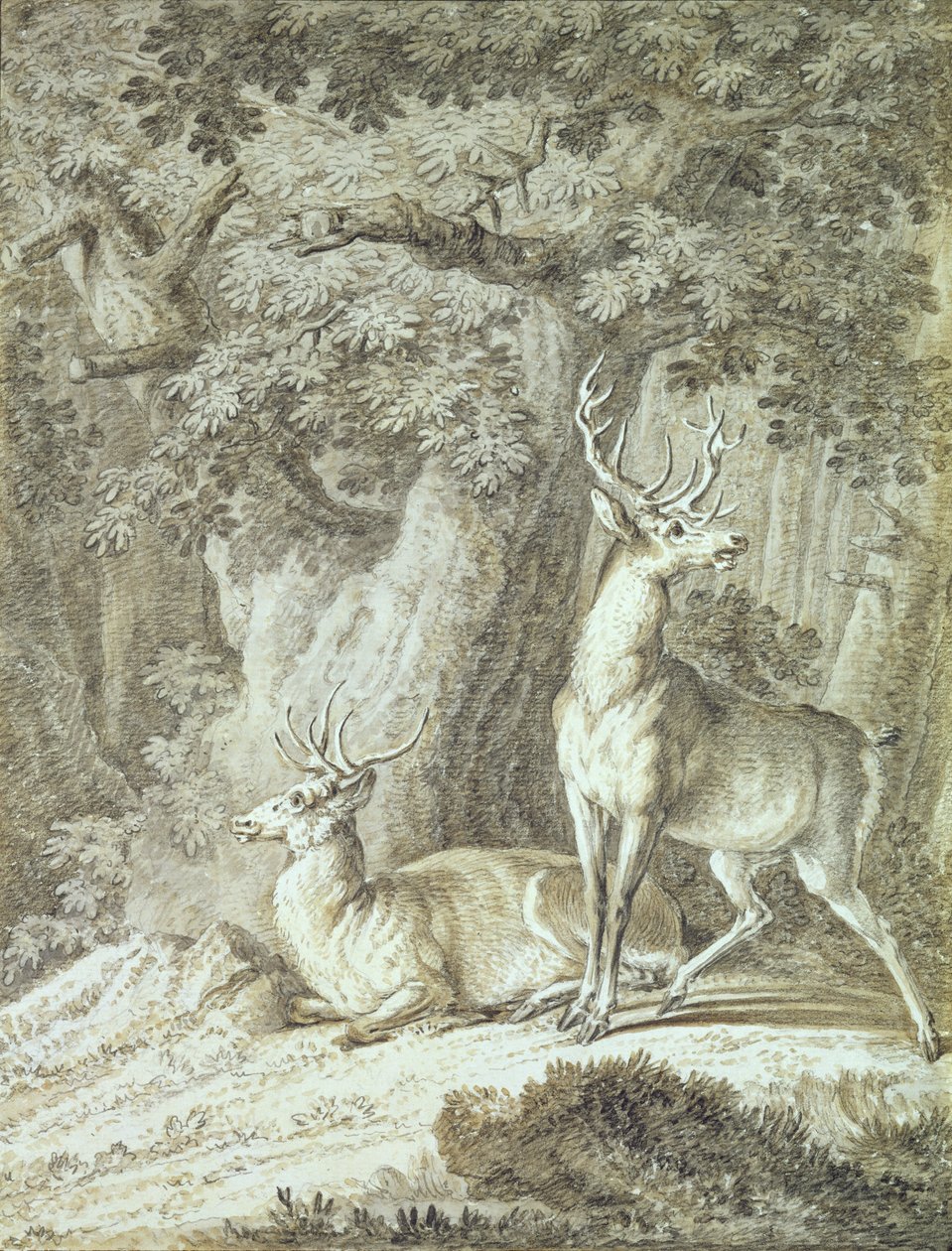 Two Stags (kridt på papir) af Johann Elias Ridinger or Riedinger