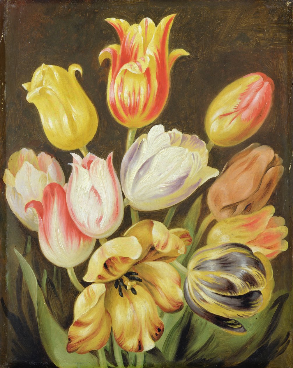 Blomsterstudie af Johann Friedrich August Tischbein