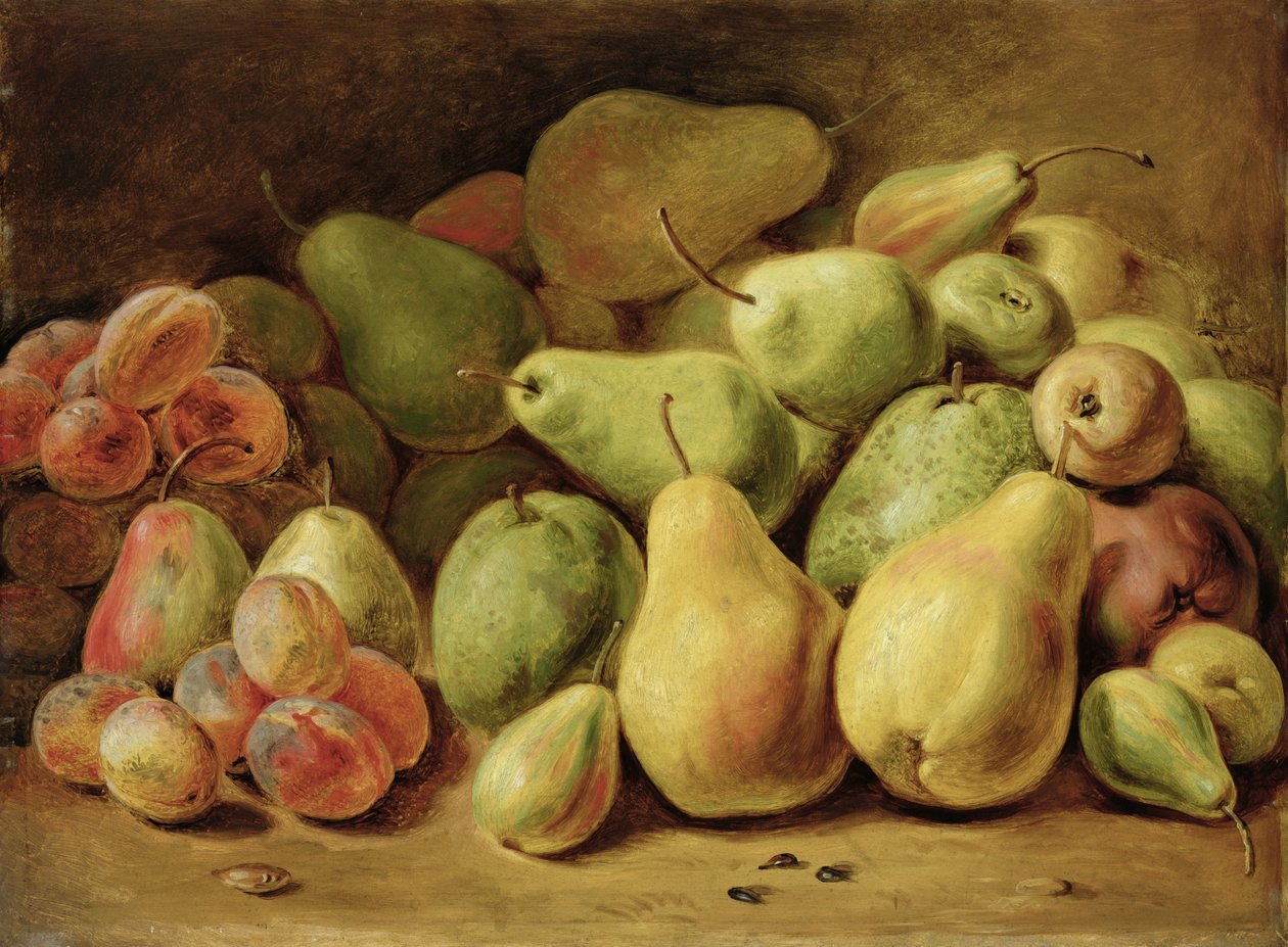 Frugt Stilleben af Johann Friedrich August Tischbein
