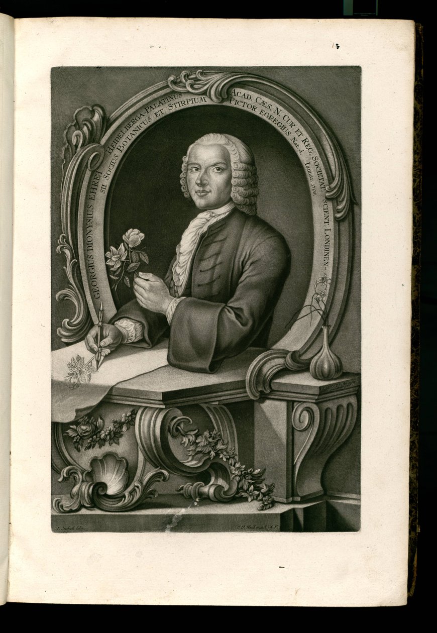 Georgius Dionysius Ehret af Johann Jakob Haid