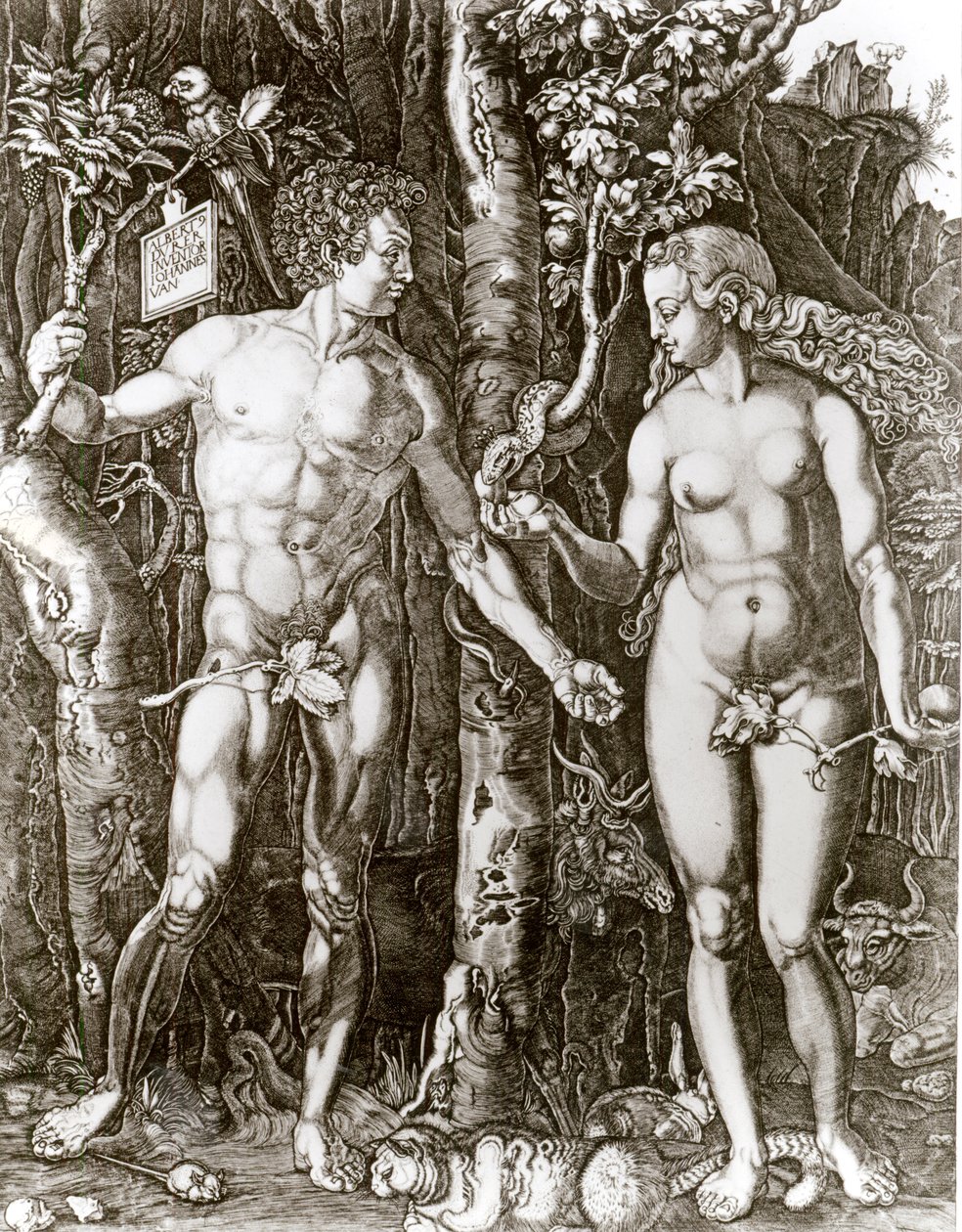 Adam og Eva, efter Albrecht Durer (1471-1528) af Johann Ladenspelder