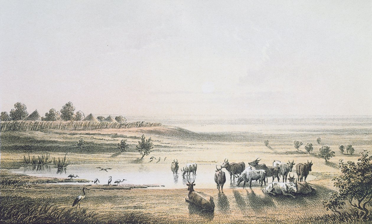 The Borders of Chad i 1851, fra 