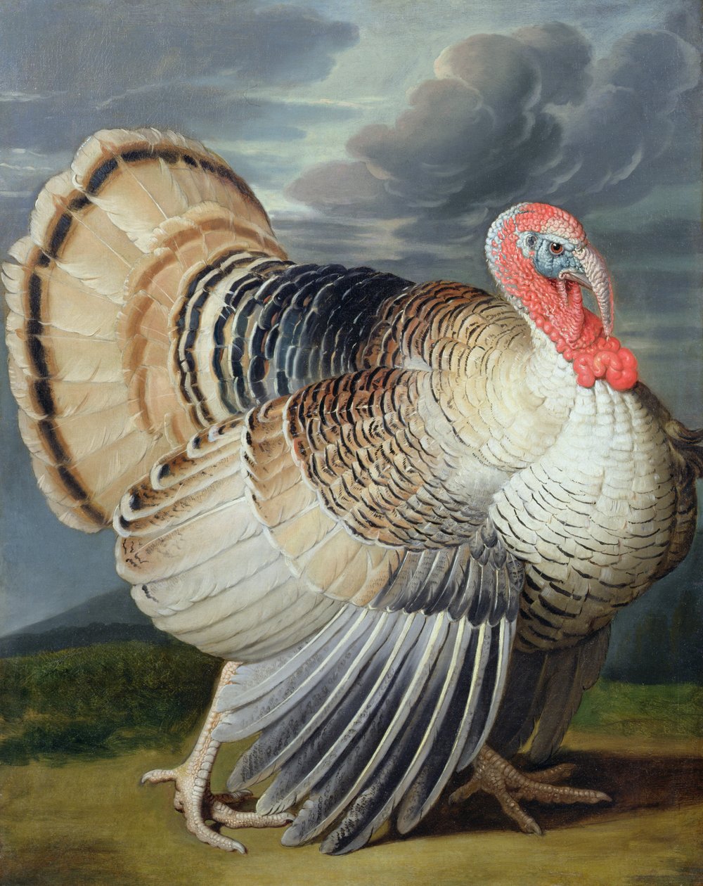 Portræt af et Tyrkiet af Johann Wenceslaus Peter Wenzal