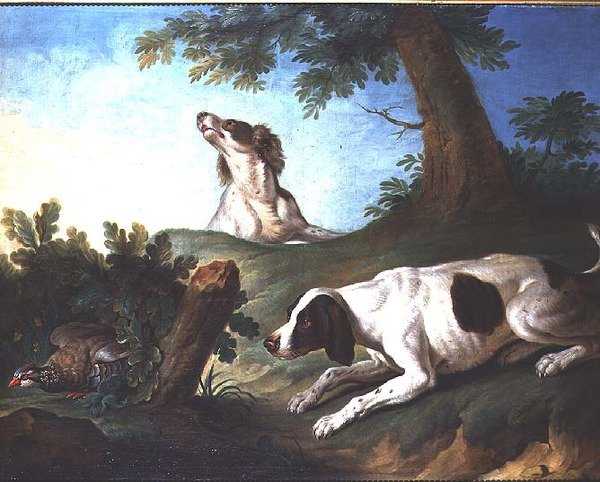 Spaniels sætter en agerhøne op af Johann Michael Baader