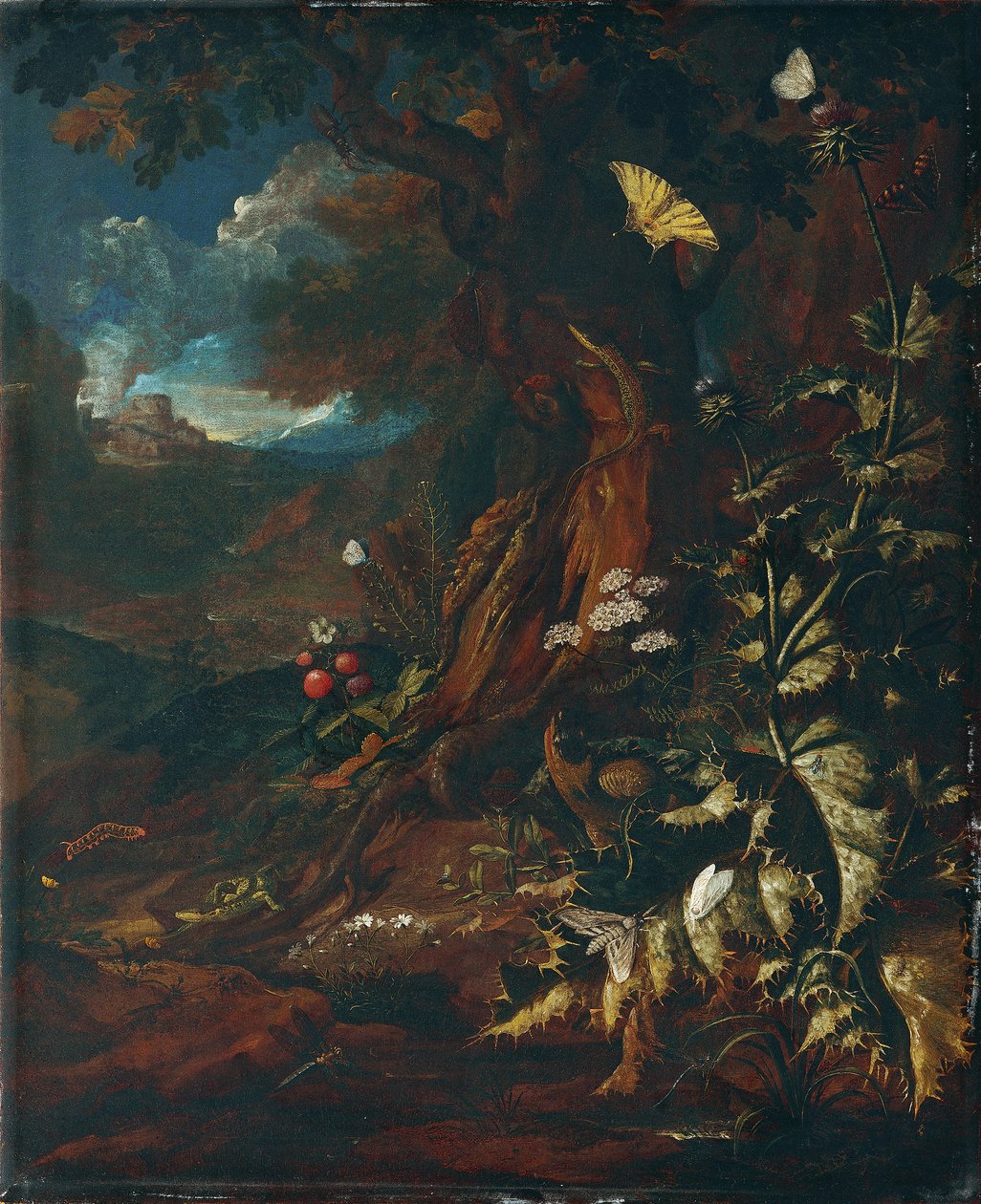 Landskab med krybdyr og insekter (I) af Johann Adalbert Angermayer