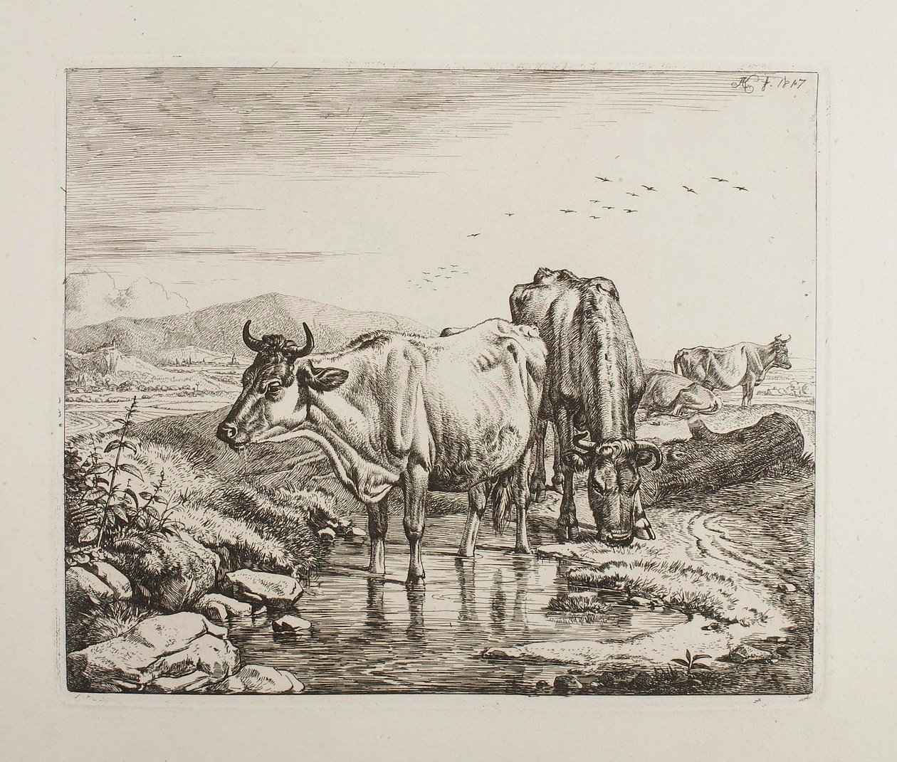 Kvæg ved et vandhul af Johann Adam Klein