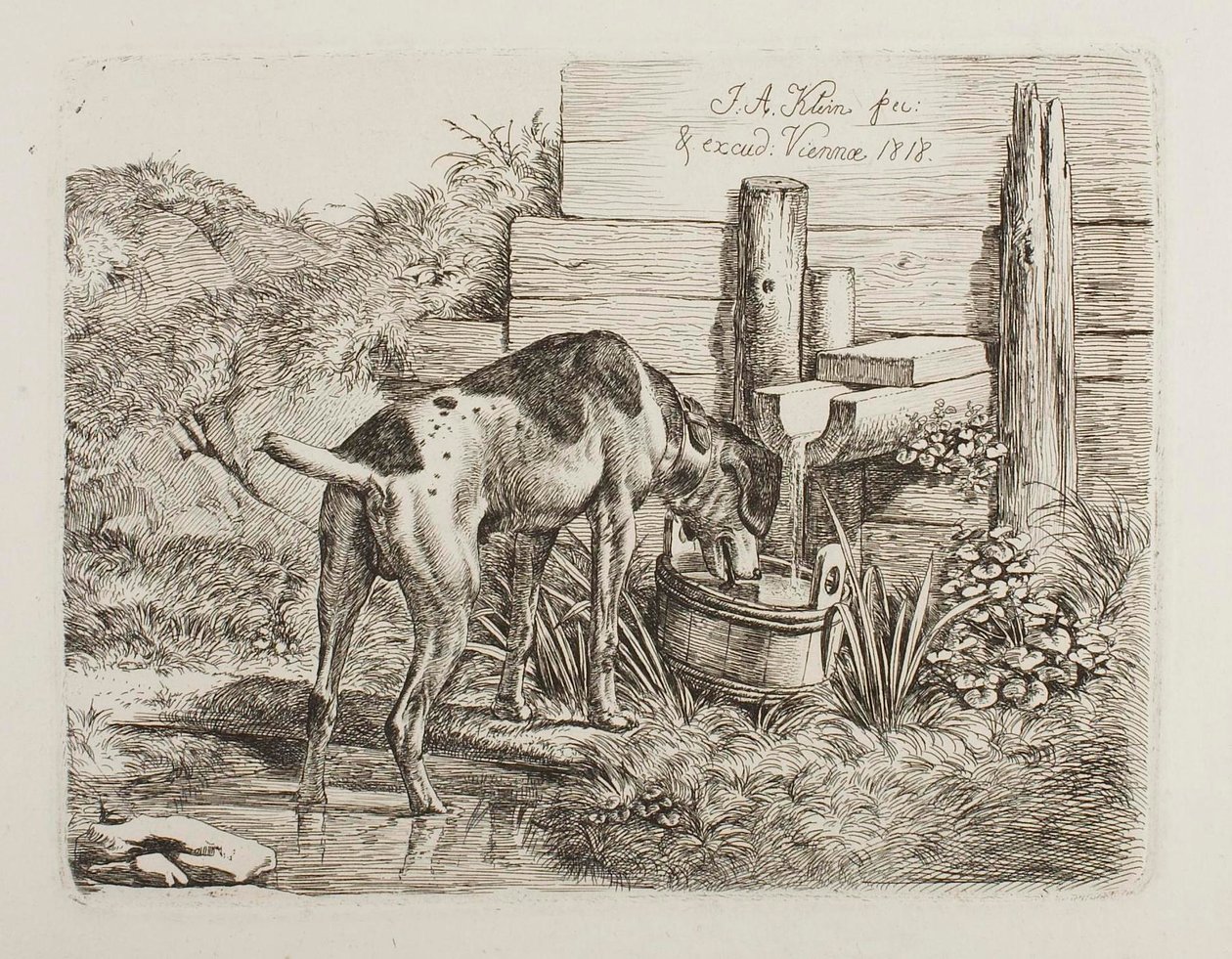 Drikkevand til hunde af Johann Adam Klein
