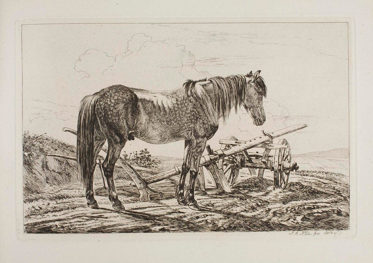 Hest ved en plov af Johann Adam Klein