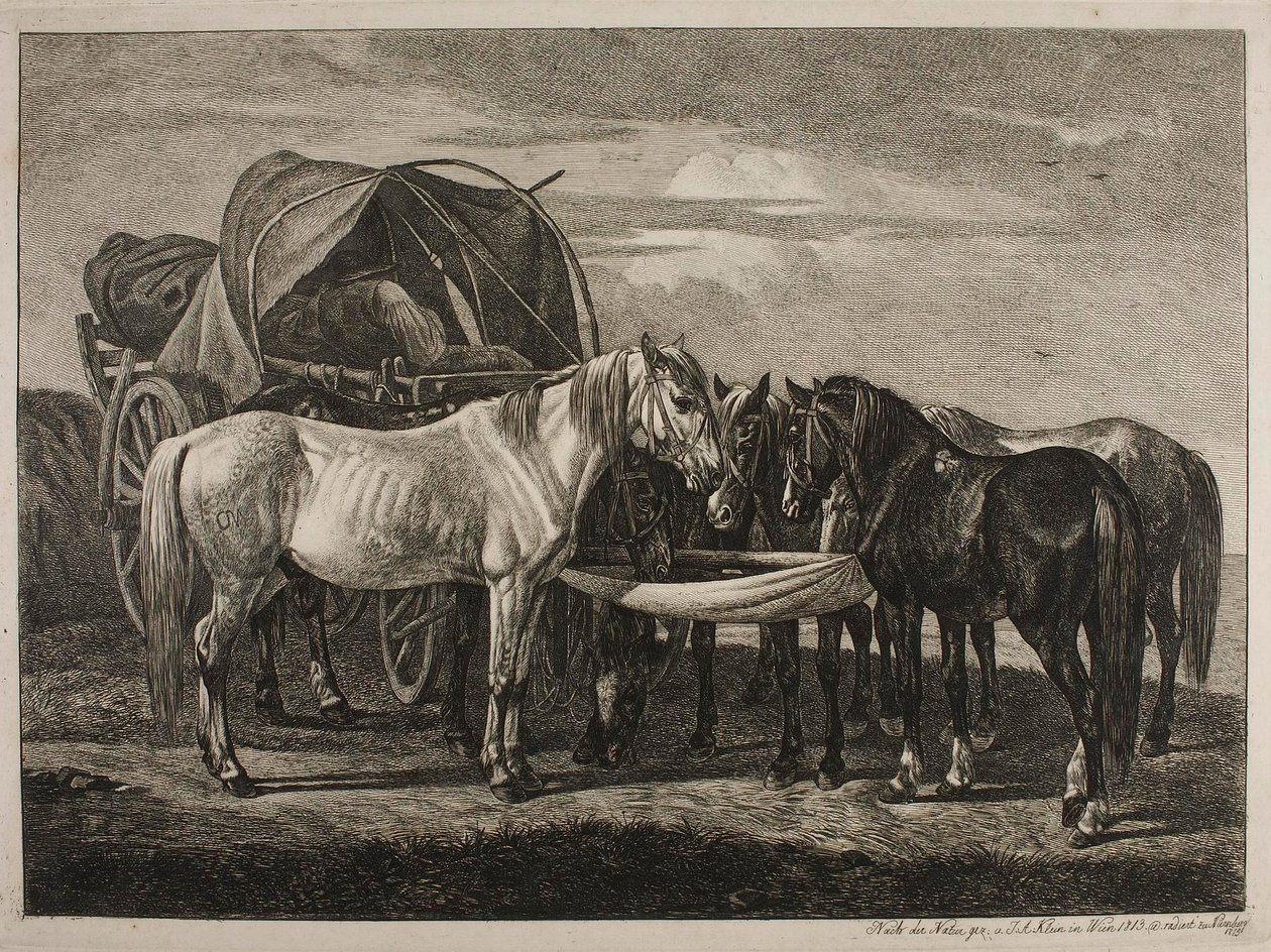 Heste ved en ungarsk kærre af Johann Adam Klein
