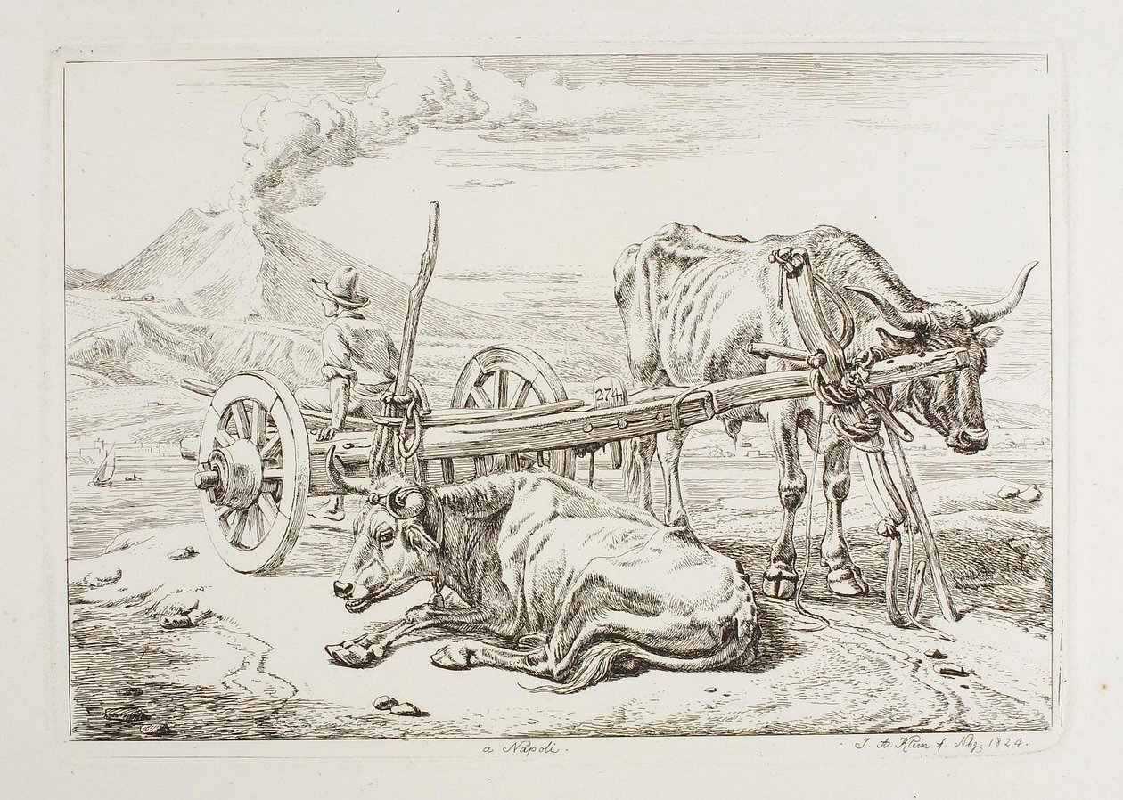 I Napoli (okser og en kærre i Napoli) af Johann Adam Klein