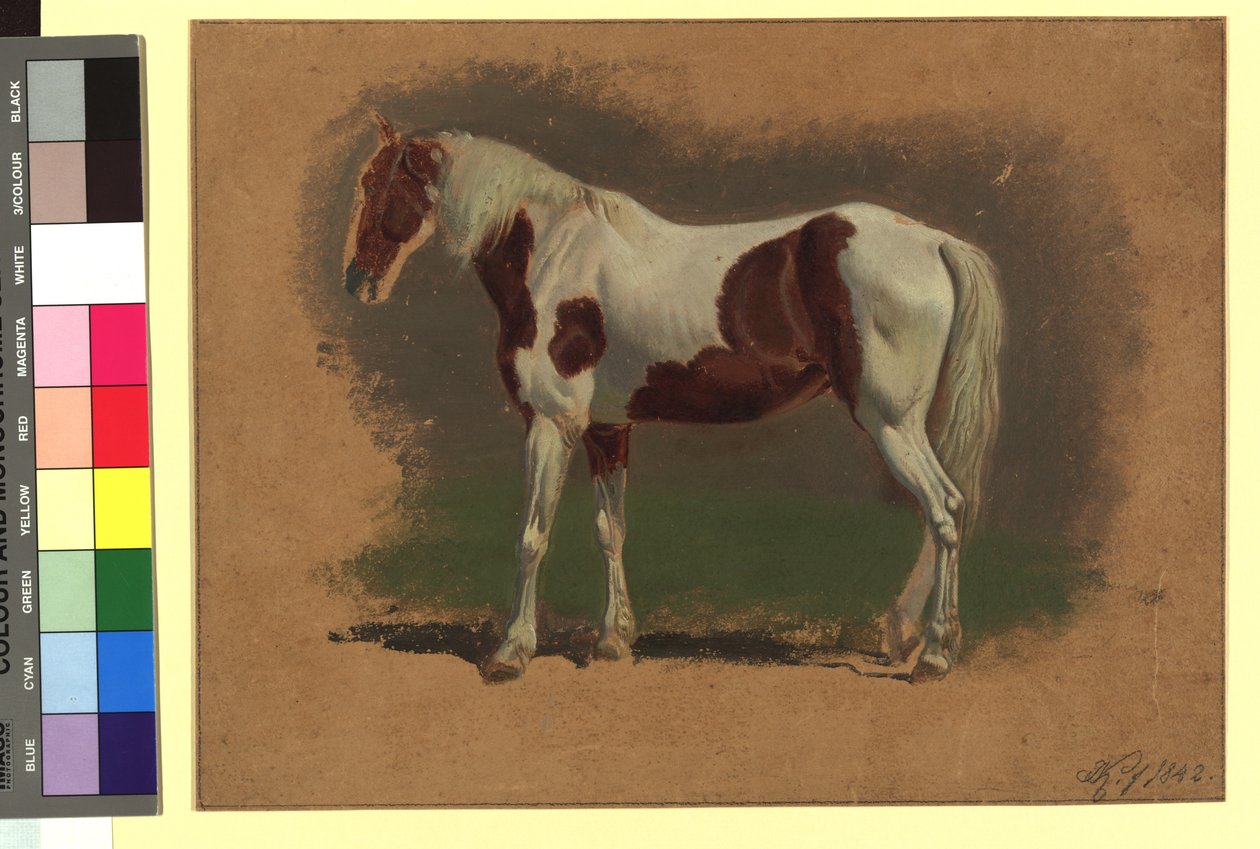 Pferdestudie af Johann Adam Klein