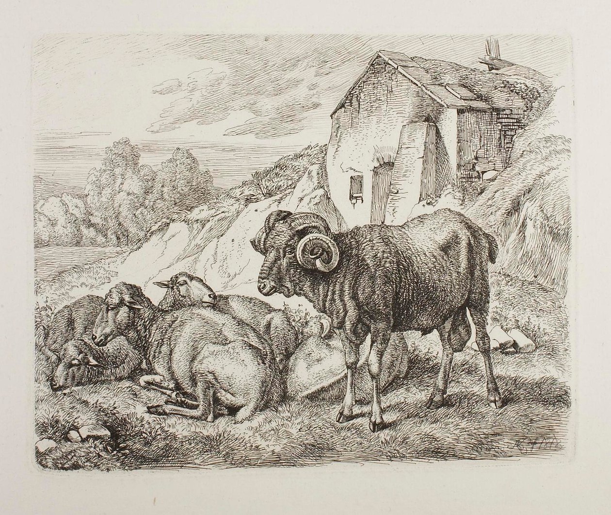 Vædder og får bag et hus af Johann Adam Klein