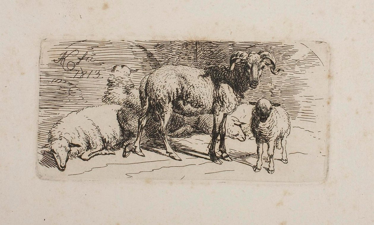 En vædder, tre får og et lam af Johann Adam Klein