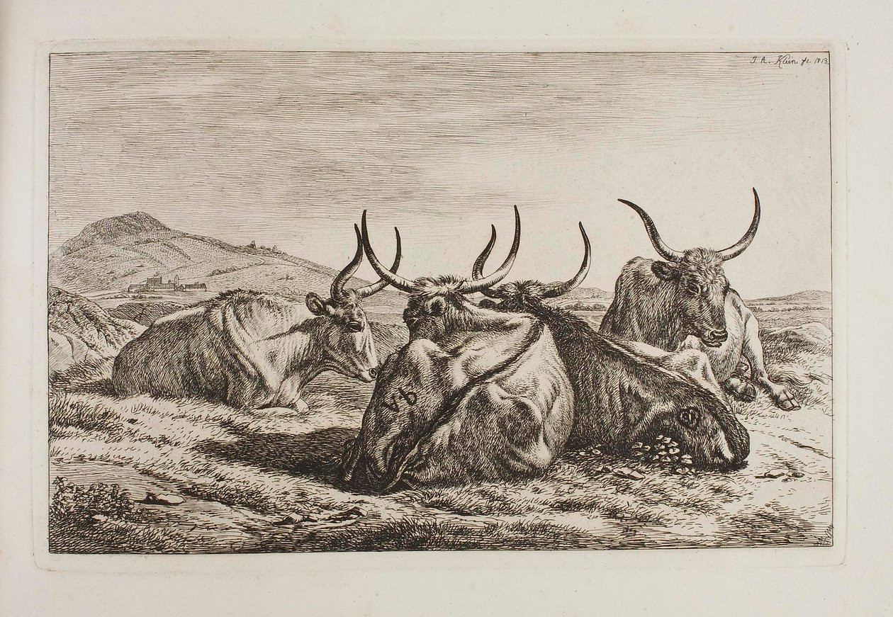 Liggende okser af Johann Adam Klein