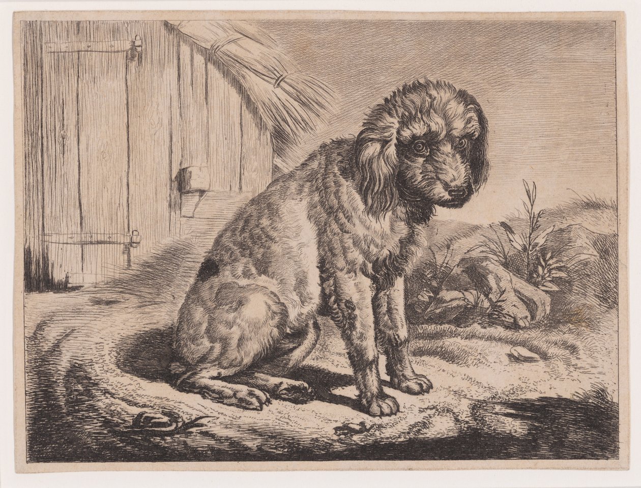 Siddende hund af Johann Adam Klein