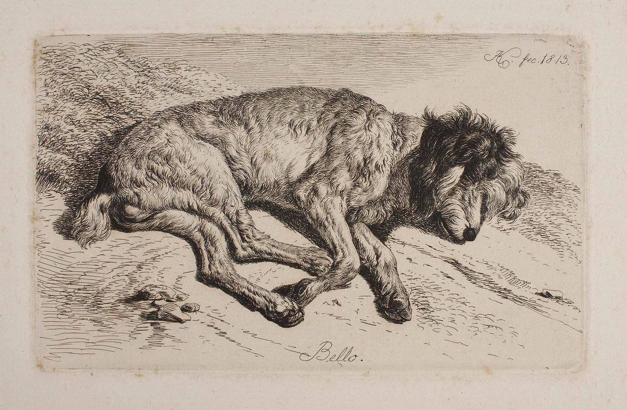 Sovende hund, Bello af Johann Adam Klein