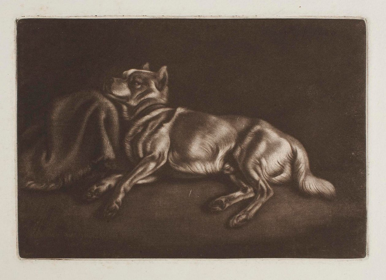 Spidshund af Johann Adam Klein