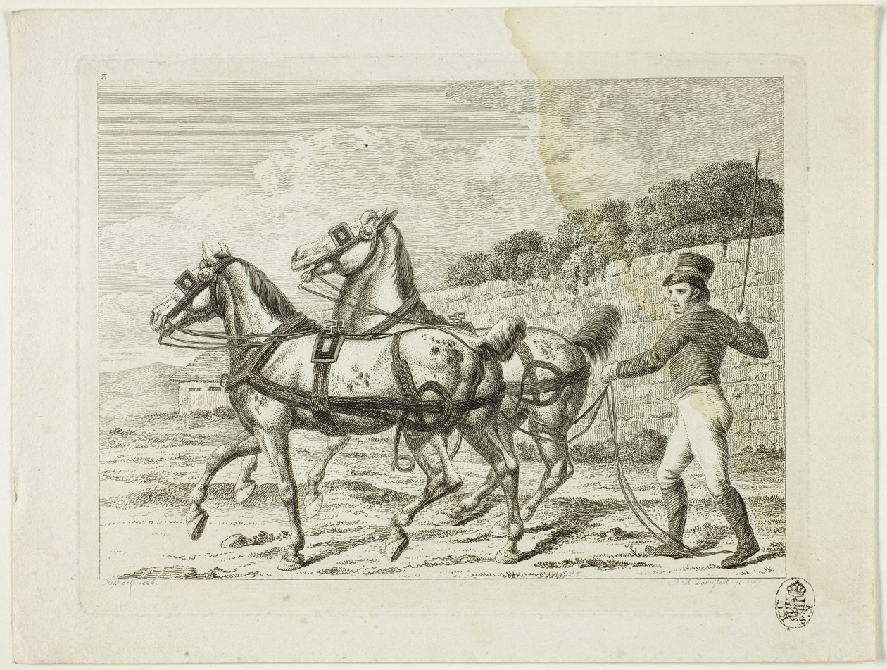 Rideskole og heste af Johann Adolph Darnstedt