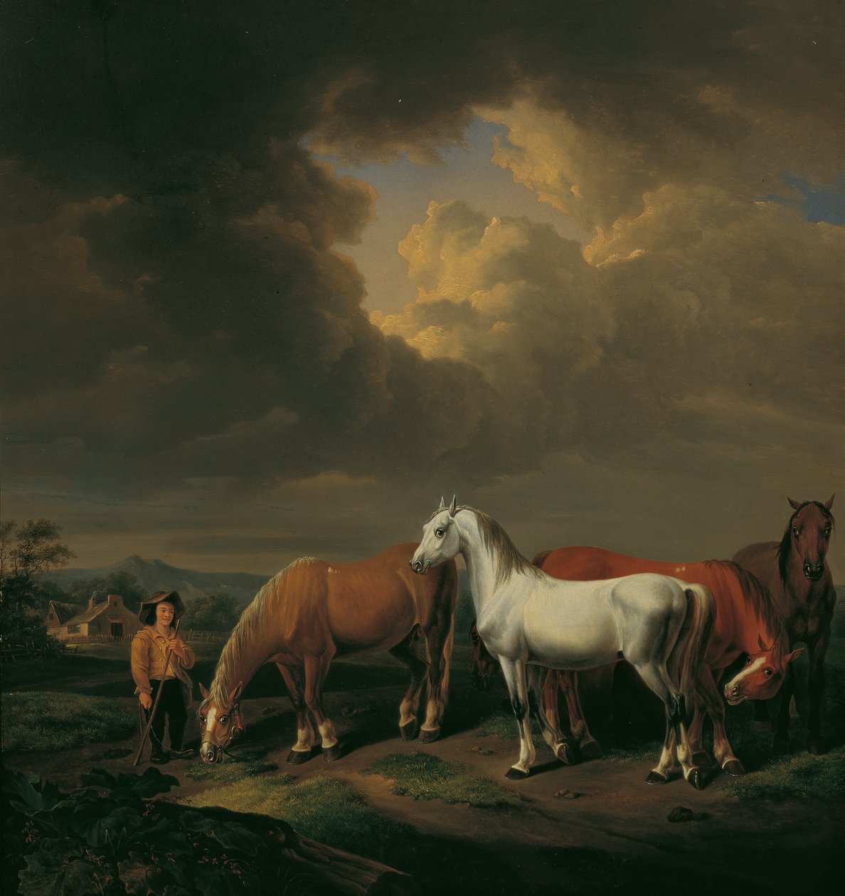 Fem bondeheste af Johann Baptist Michael Dallinger von Dalling