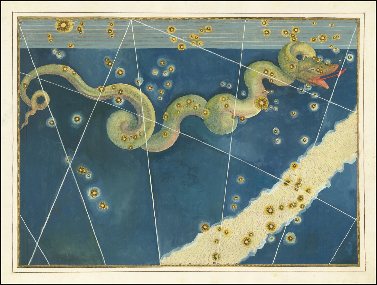 Hydra - Johann Bayer af Johann Bayer