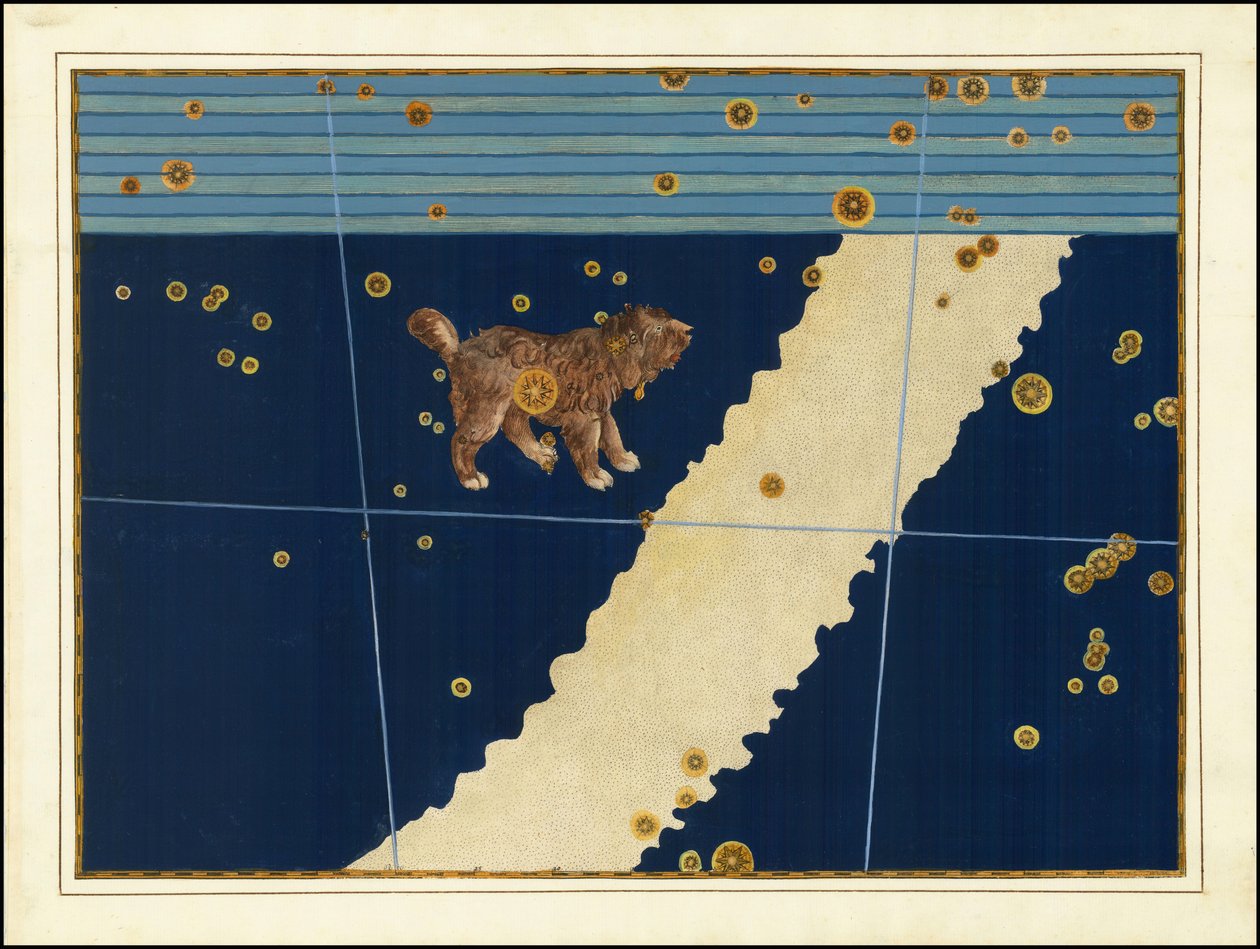 Johann Bayer, Canis Minor af Johann Bayer