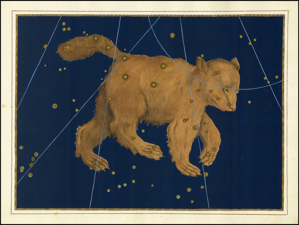 Johann Bayer, Ursa Major af Johann Bayer