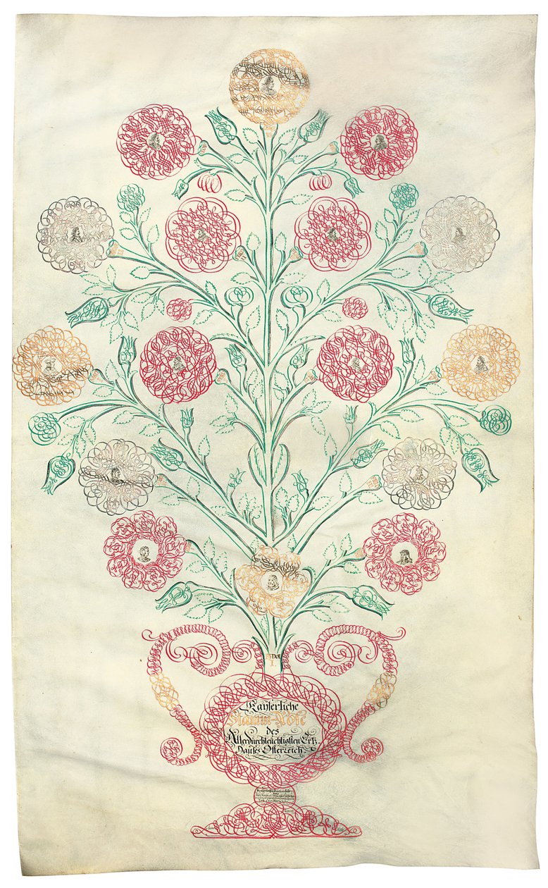 "Rosen", et stamtræ præsenteret for kejser Charles VI, 1731 af Johann Carl Paricius