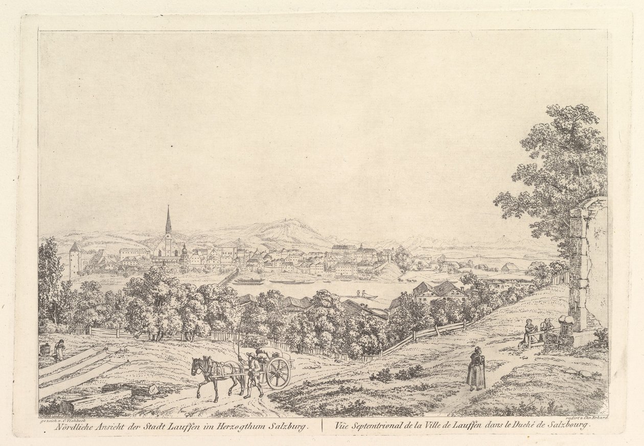 Stier i hertugdømmet Salzburg, begyndelsen af det 19. århundrede. af Johann Christian Erhard