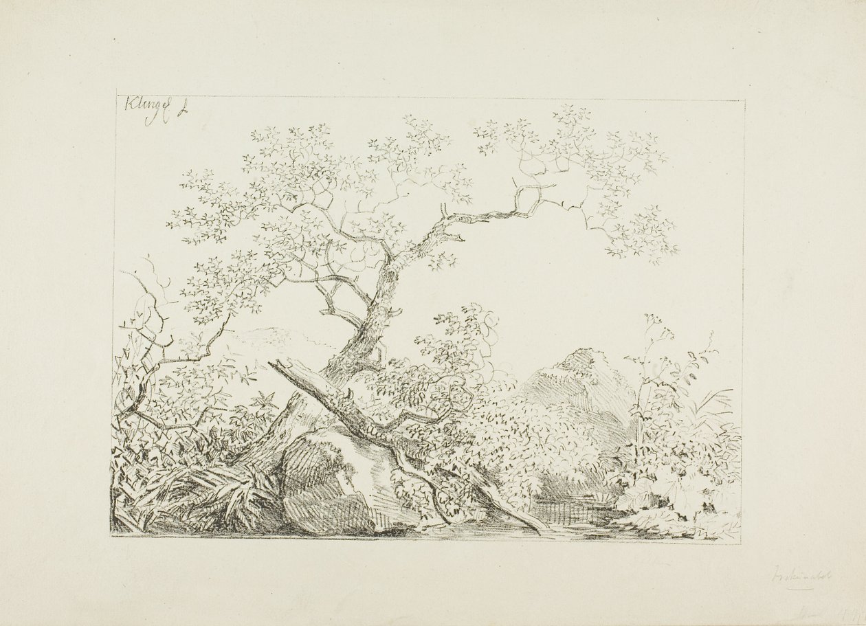 Træer og klipper ved vandet af Johann Christian Klengel