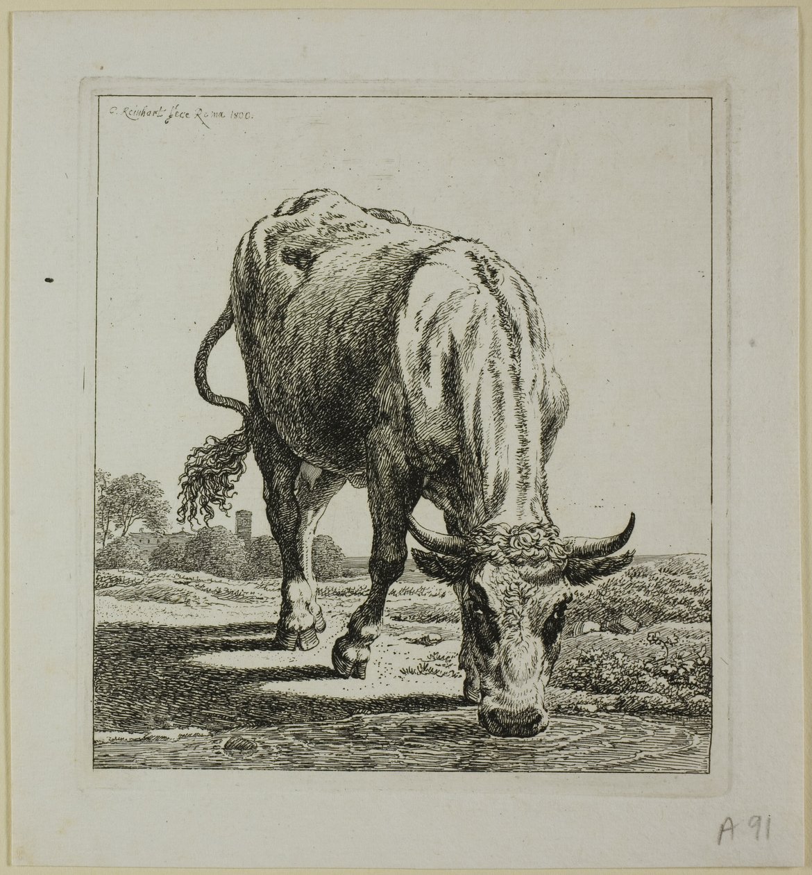 Cow Drinking, fra Die Zweite Thierfolge af Johann Christian Reinhart