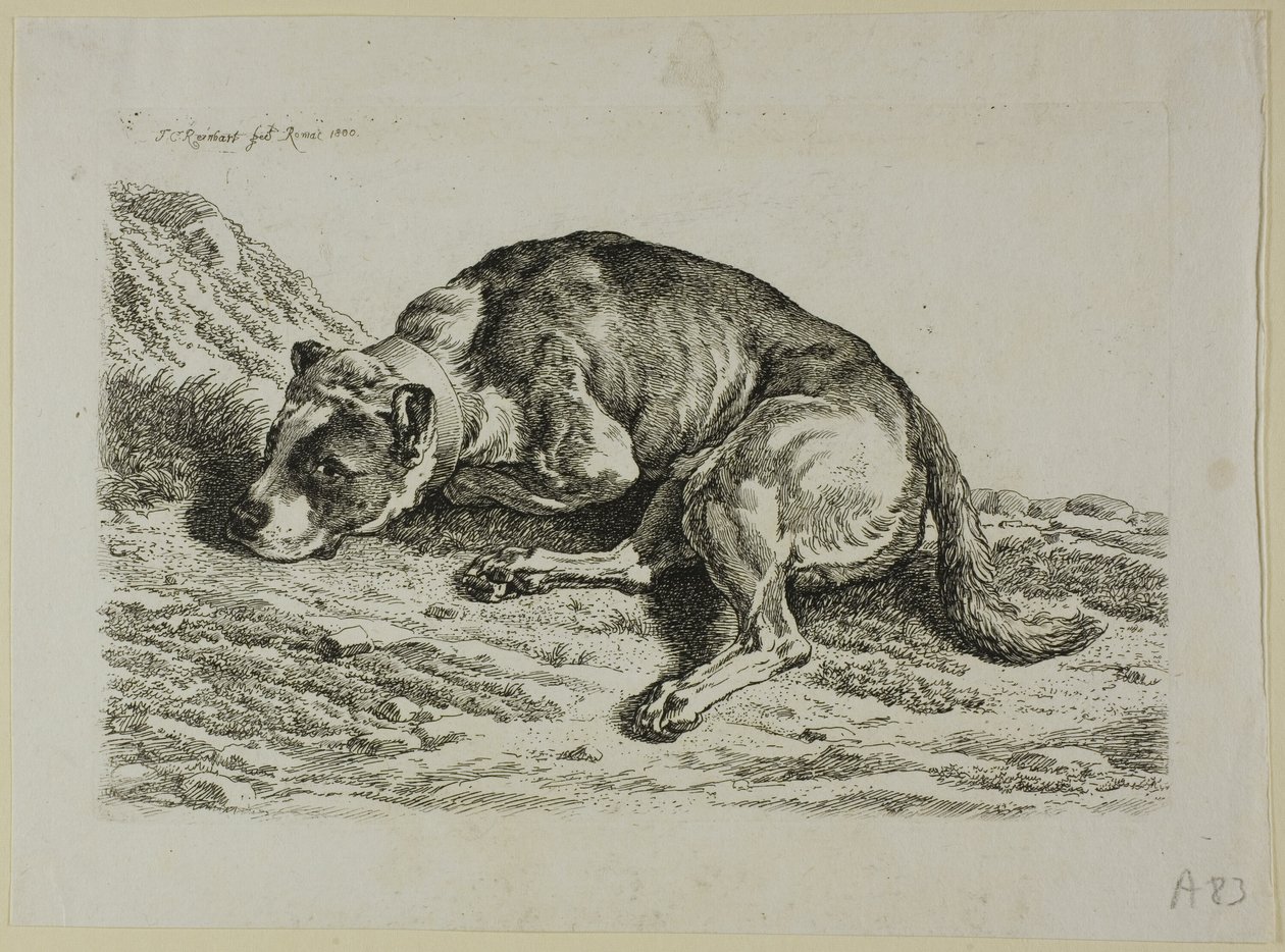 Dog Laying Down, fra fra The Second Succession of the Thief af Johann Christian Reinhart