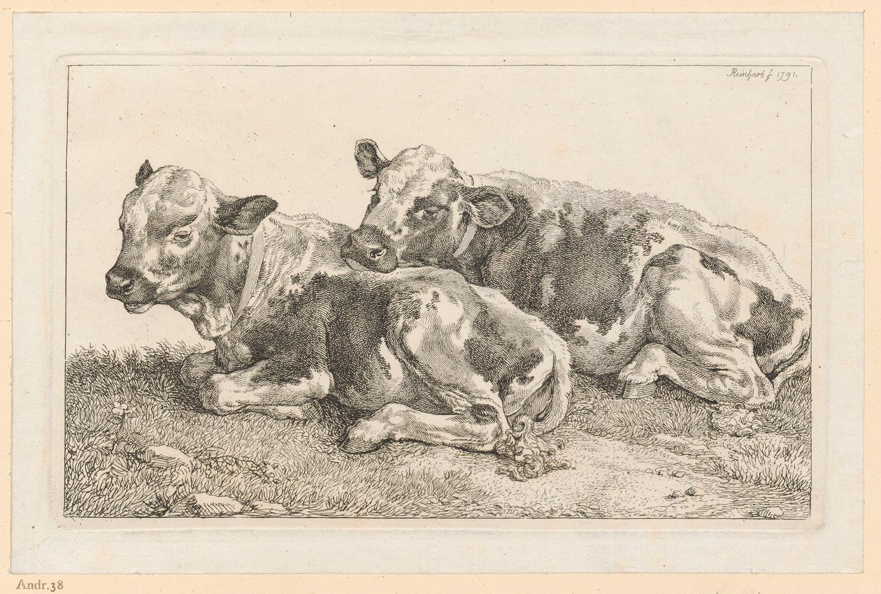 To kalve af Johann Christian Reinhart