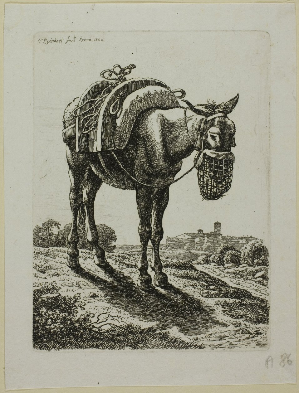 Feeding Mule - Front, fra The Second Succession of Thieves af Johann Christian Reinhart