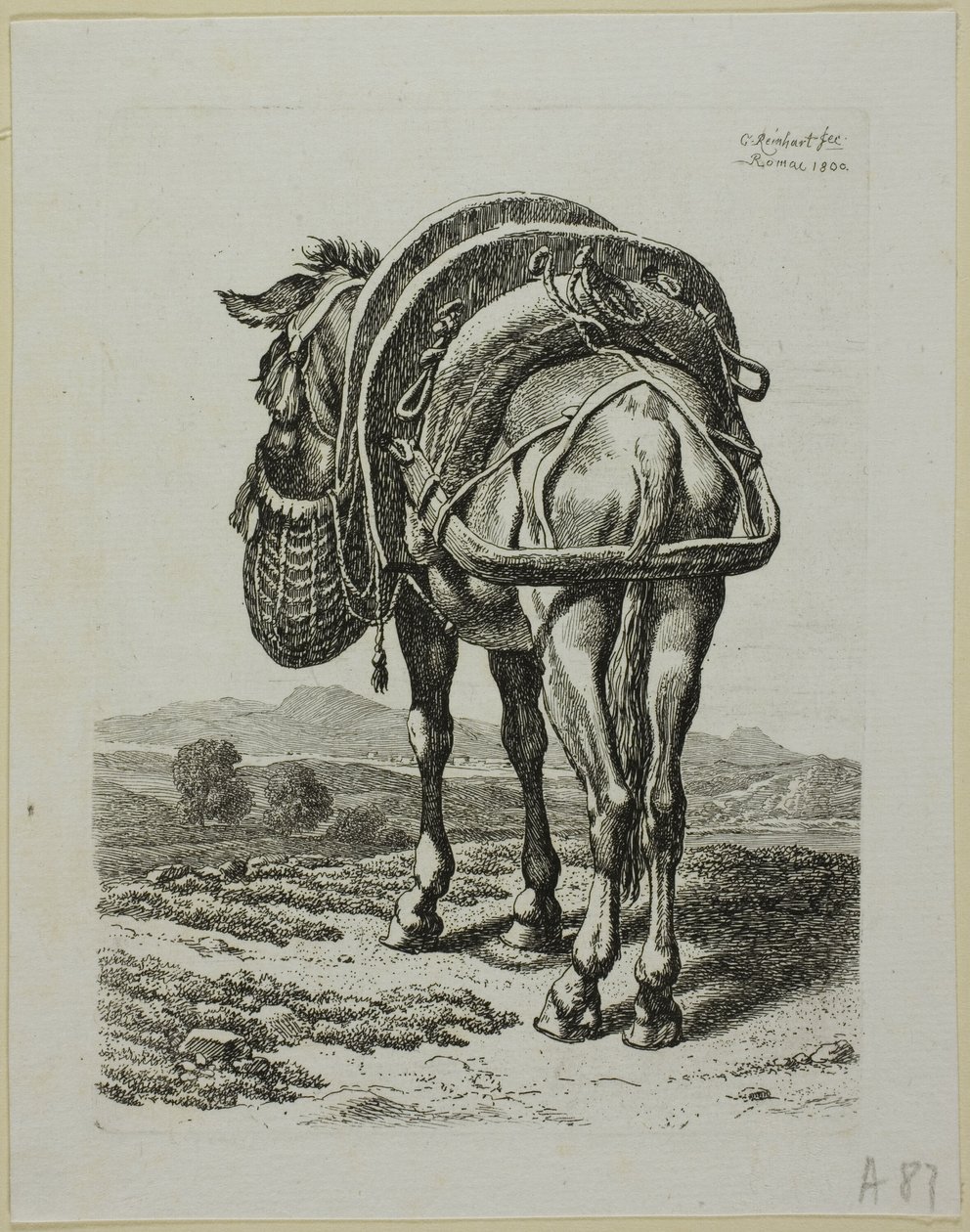 Feeding Mule - Rear, fra Die Zweite Thier Folge af Johann Christian Reinhart