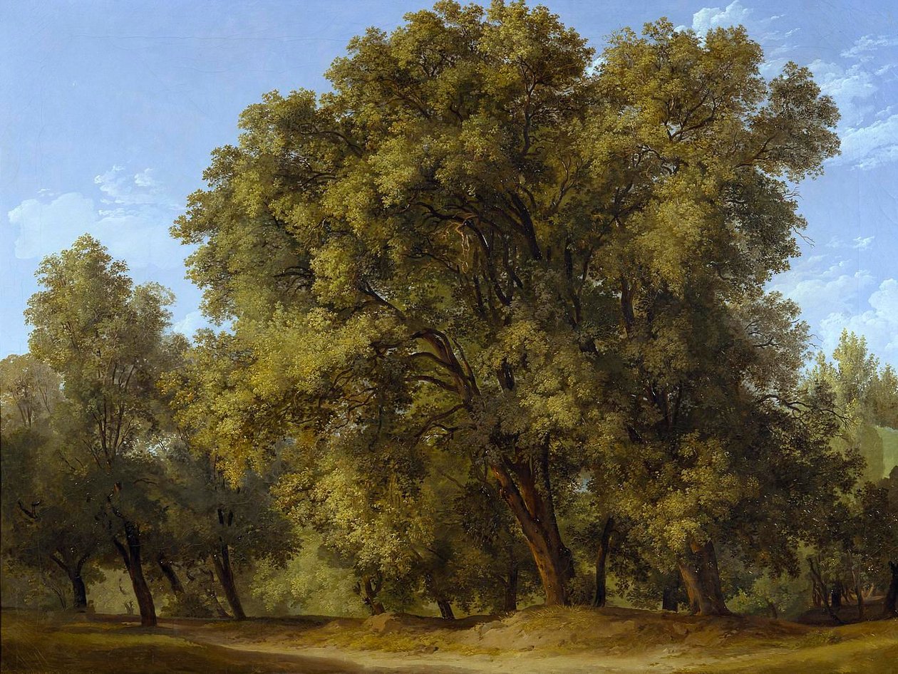 Skovscene af Johann Christian Reinhart