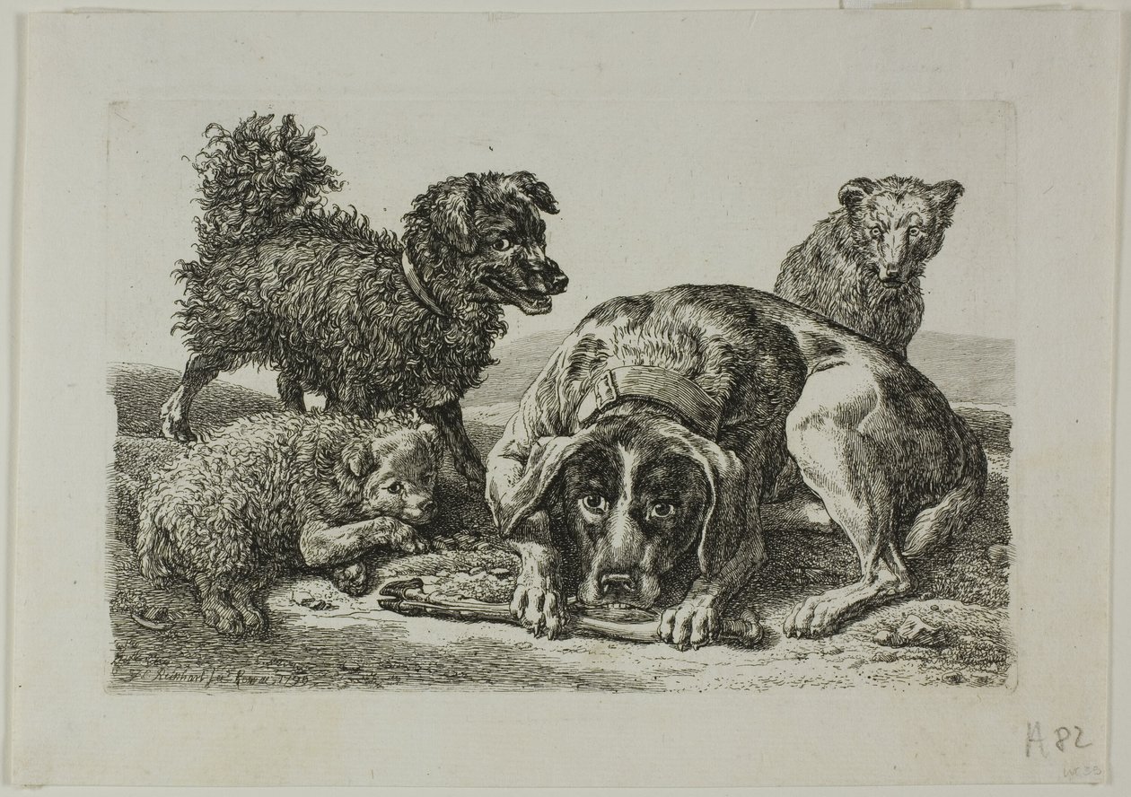 Fire hunde, fra Die Zweite Thier Folge af Johann Christian Reinhart