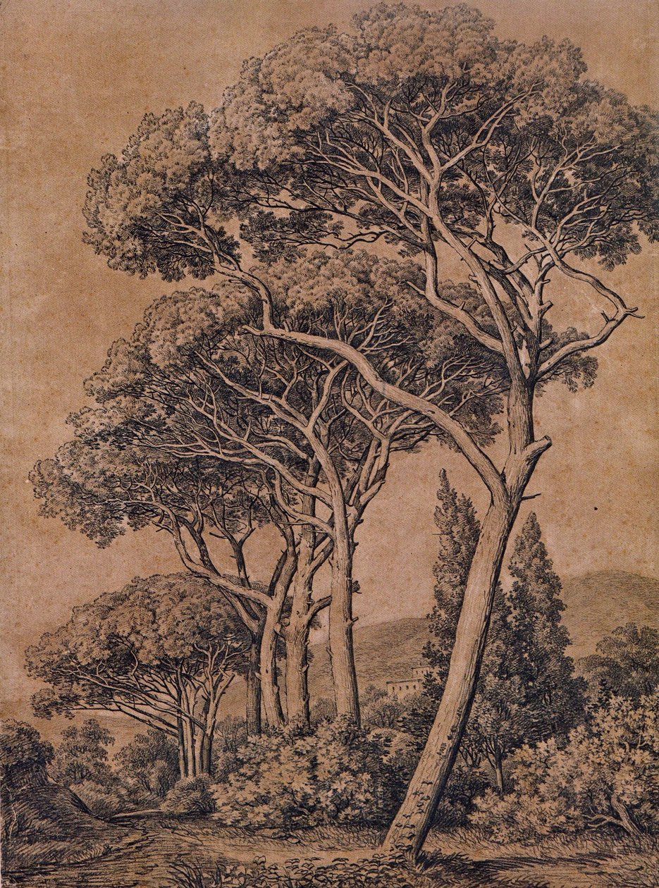 J C Reinhart Paraply-fyr 1791 af Johann Christian Reinhart
