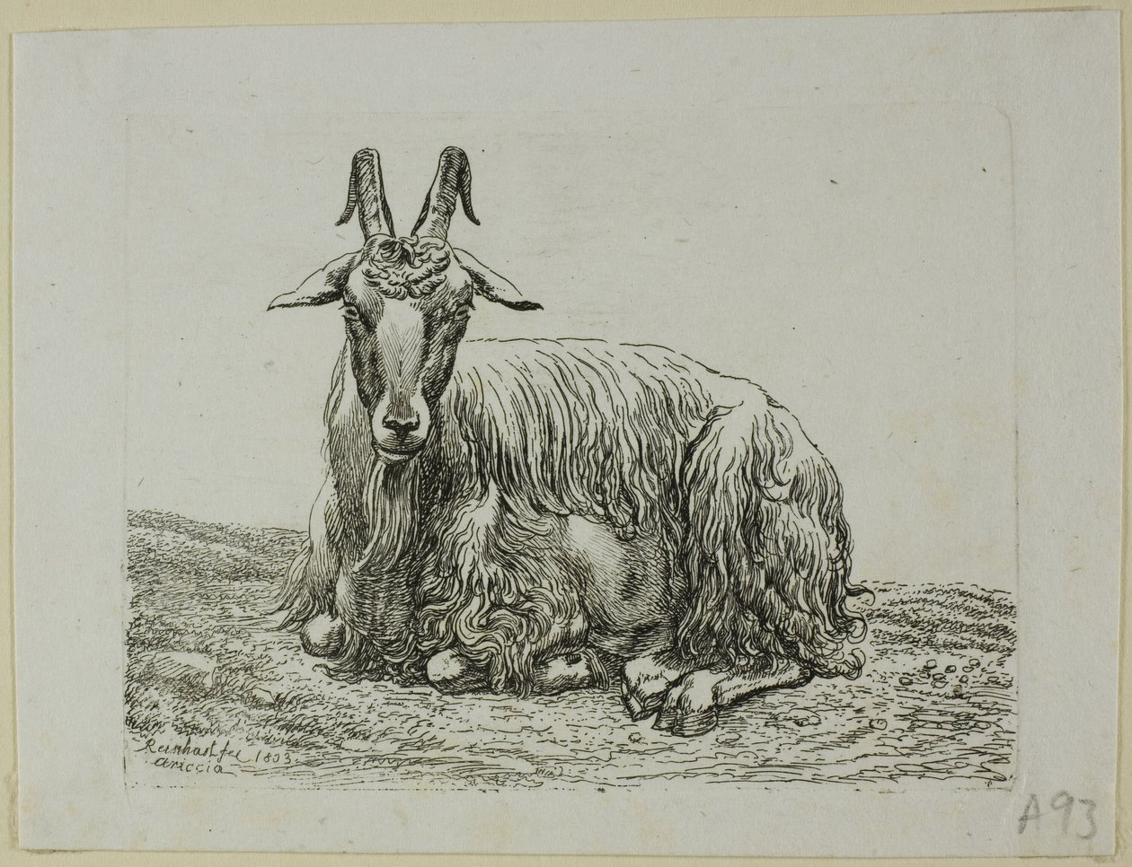 Liggende ged, fra Die Zweite Thiernahme af Johann Christian Reinhart