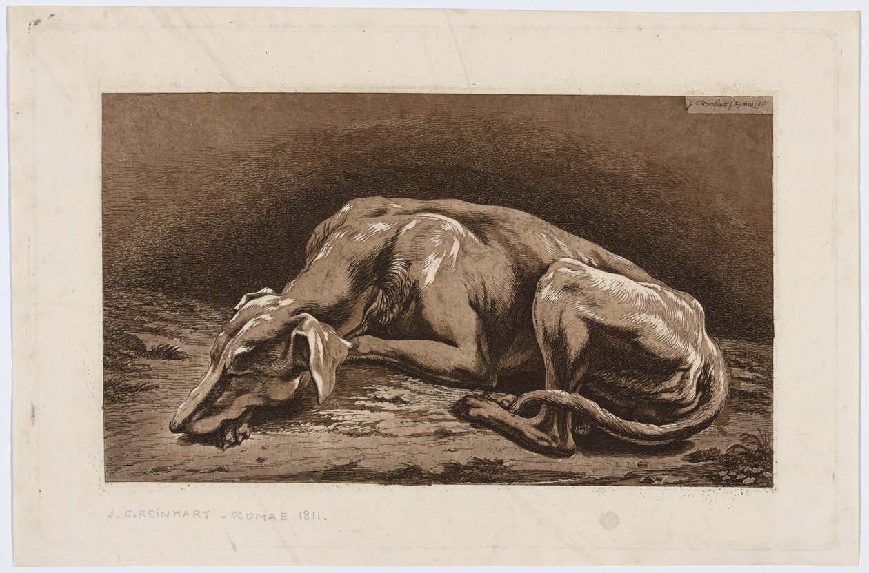 Sovende mynde af Johann Christian Reinhart