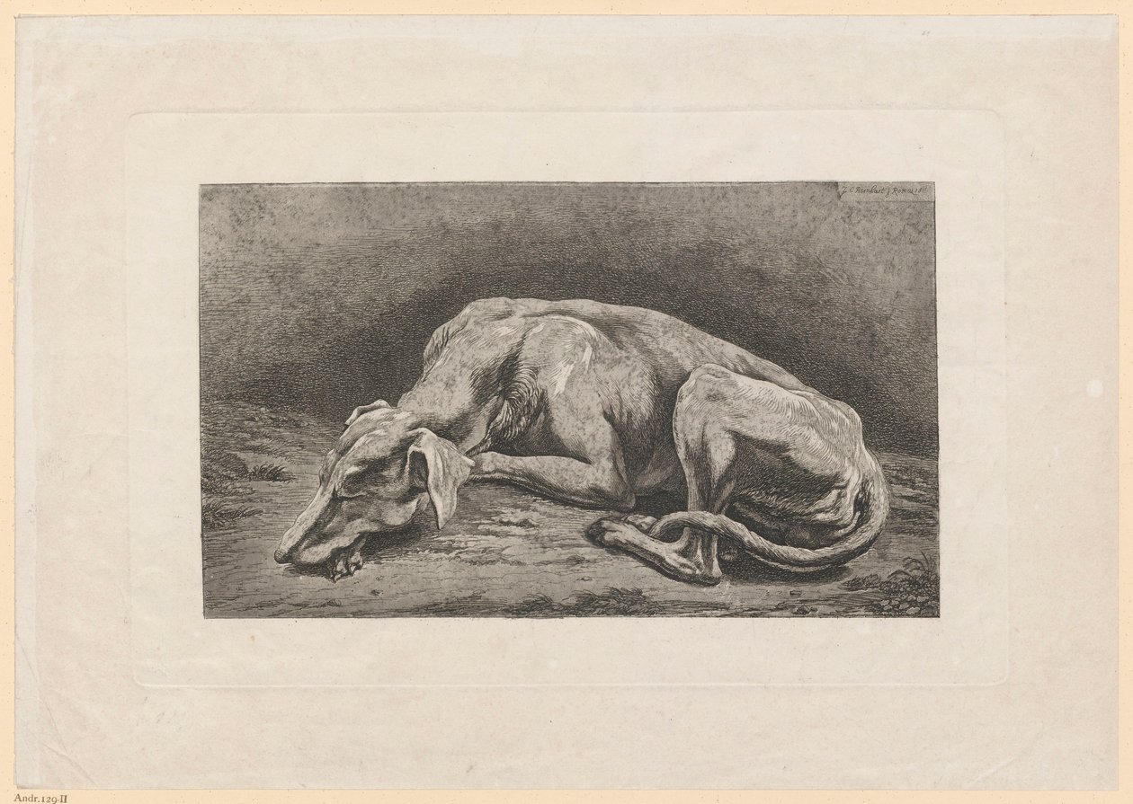 Sovende mynde af Johann Christian Reinhart