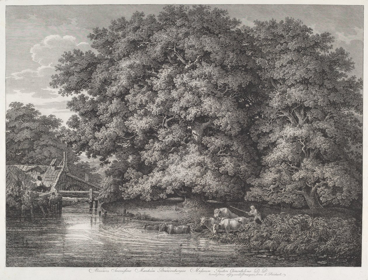 Møllen ved Great Oaks af Johann Christian Reinhart
