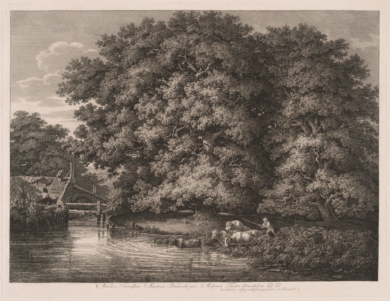 Møllen ved Great Oaks af Johann Christian Reinhart